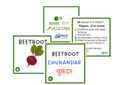 Name It!! | Flash Cards Set 1 | Theme - Fruits, Vegetables, Animals, Birds